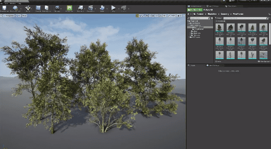 Quixel的22款免费3D扫描树木模型资产有点香