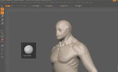 如何在Zbrush中雕刻肌肉？.jpg