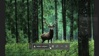 Photoshop 24.5版本正式发布，已集成AI工具Firefly