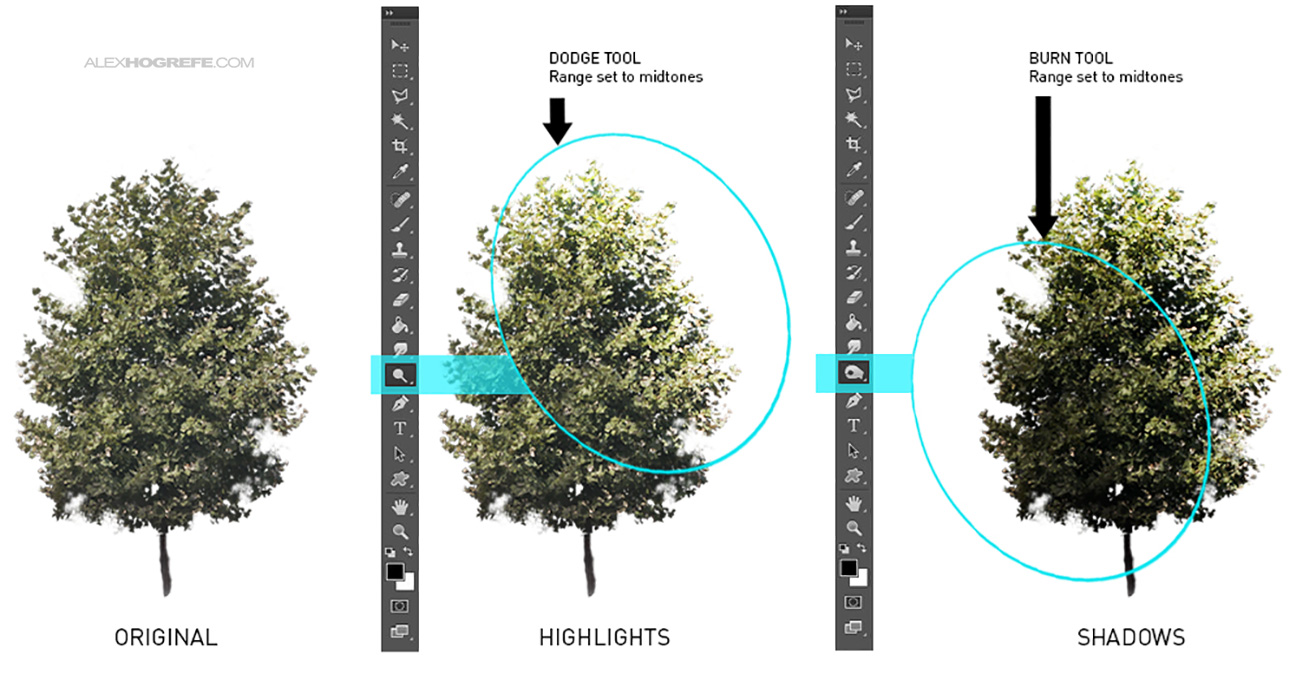 如何在透视图中添加树木效果更好