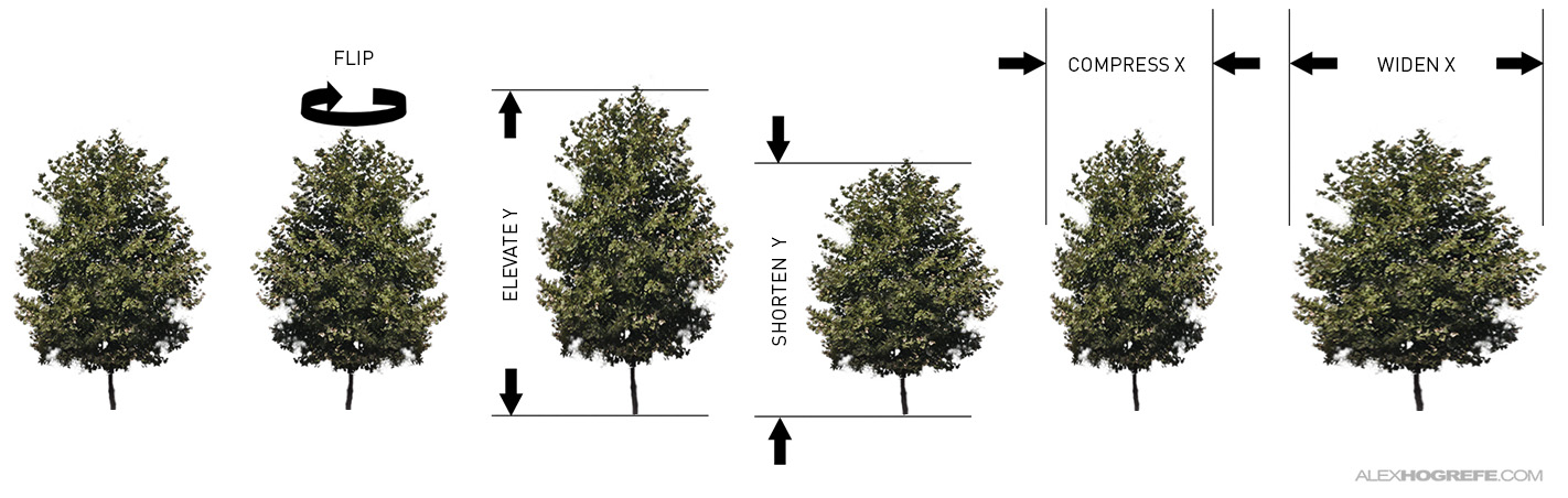 如何在透视图中添加树木效果更好